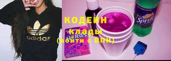 гашик Белая Холуница